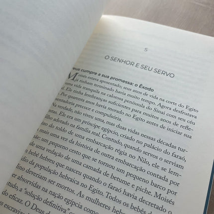 Encontrando Cristo no Antigo Testamento | Edmund Clowney