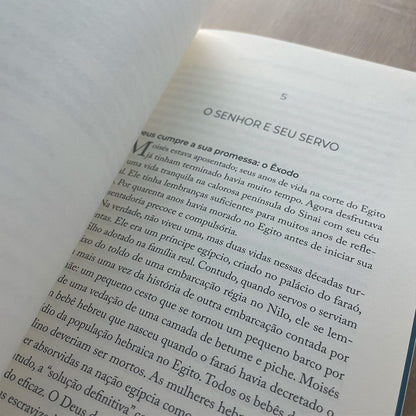 Encontrando Cristo no Antigo Testamento | Edmund Clowney