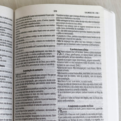 Bíblia Sagrada | ACF | Letra Normal | Capa Brochura Caminho