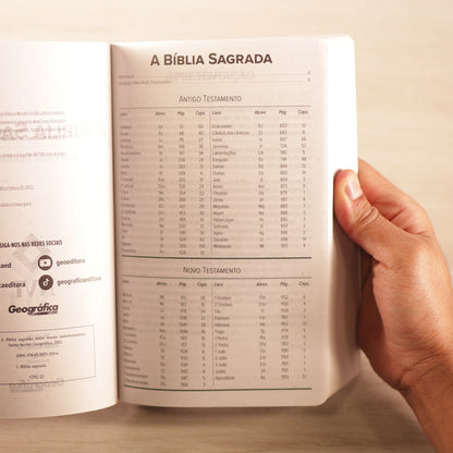 Bíblia Sagrada | NVT | Letra Grande | Capa Brochura Colors