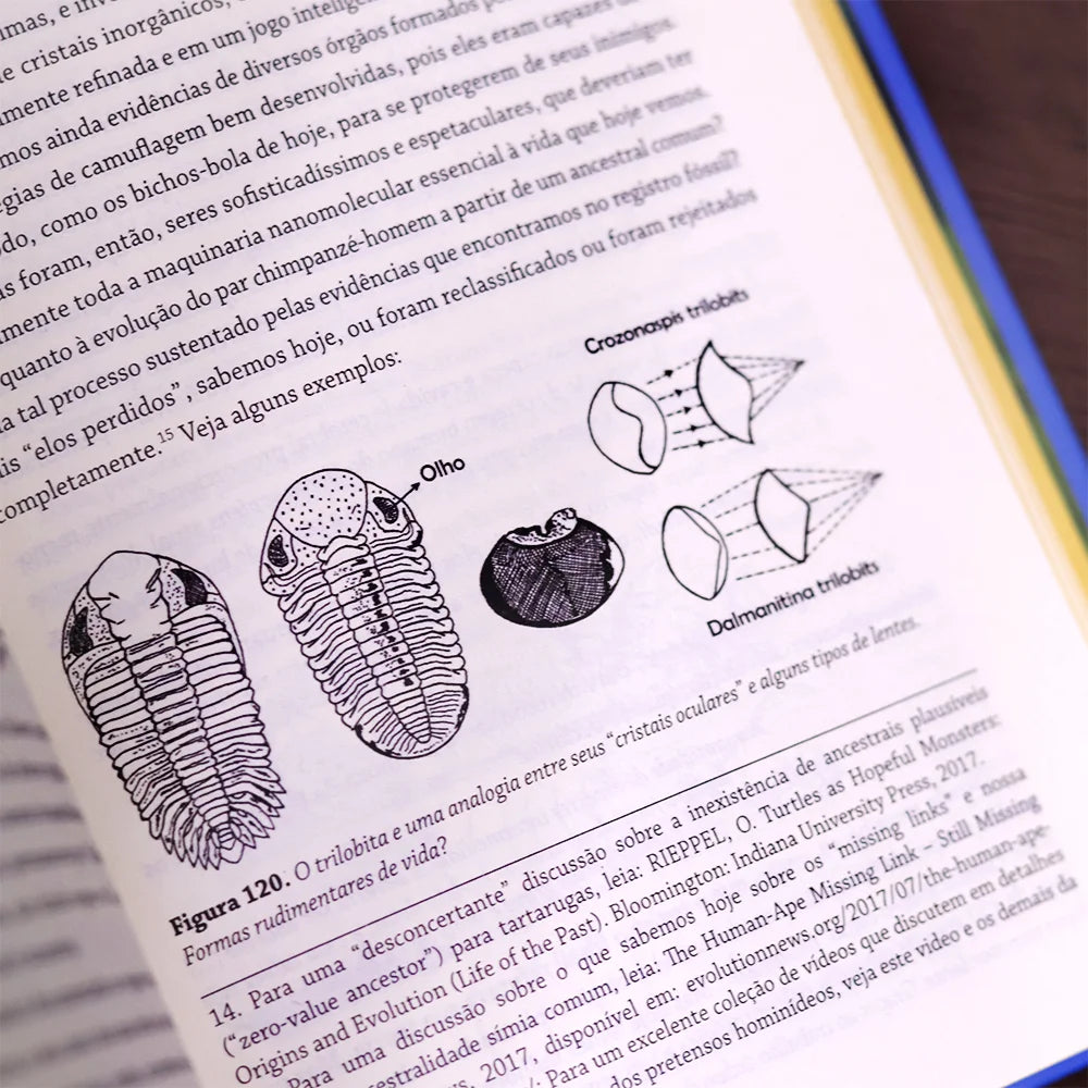 Fomos Planejados | Marcos Eberlin | 7° Edição