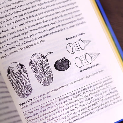 Fomos Planejados | Marcos Eberlin | 7° Edição