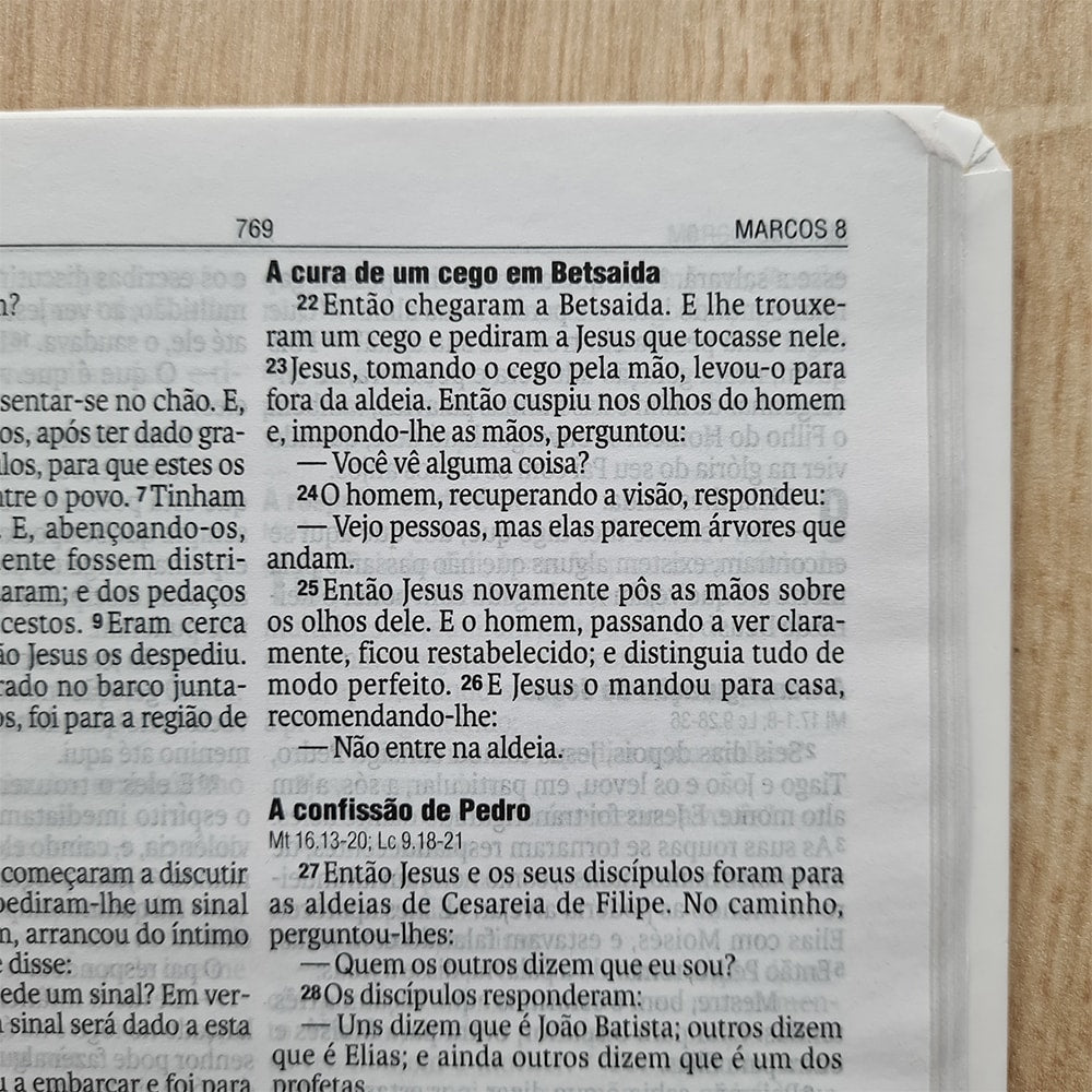 Bíblia Sagrada Clássica Azul | NAA | Letra Normal | Capa Dura