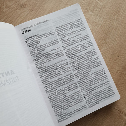 Bíblia Sagrada Sarça | NAA | Letra Normal | Capa Dura