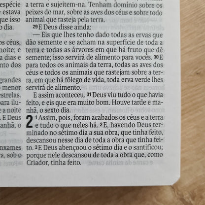 Bíblia Sagrada Sarça | NAA | Letra Normal | Capa Dura