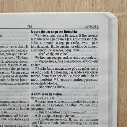 Bíblia Sagrada Flores | NAA | Letra Normal | Capa Dura