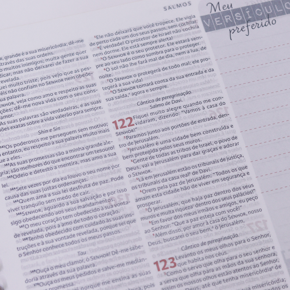 Nova Bíblia Viva Com Espaço para Anotação | Letra Normal | Capa Espiral Força e Poder