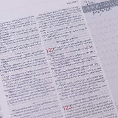 Nova Bíblia Viva Com Espaço para Anotação | Letra Normal | Capa Espiral Força e Poder