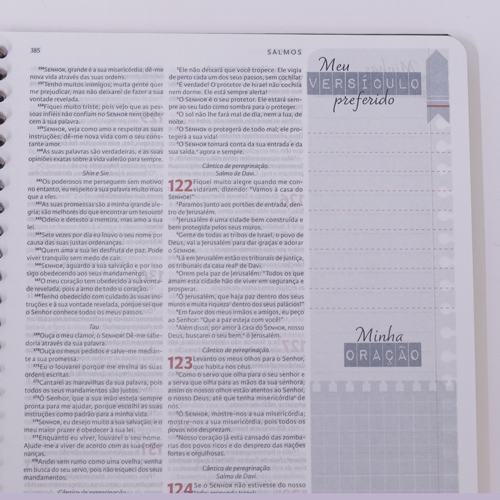 Nova Bíblia Viva Com Espaço para Anotação | Letra Normal | Capa Espiral Força e Poder