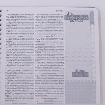 Nova Bíblia Viva Com Espaço para Anotação | Letra Normal | Capa Espiral Força e Poder