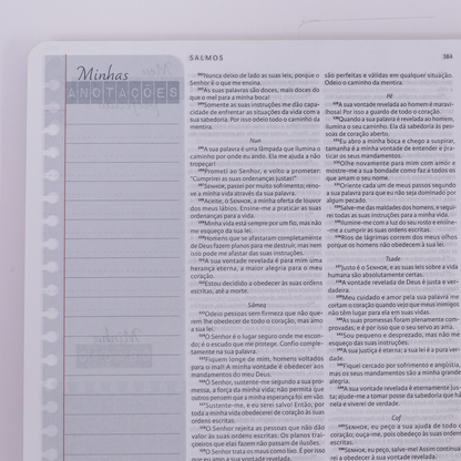 Nova Bíblia Viva Com Espaço para Anotação | Letra Normal | Capa Espiral Força e Poder