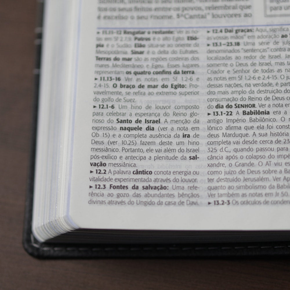 Bíblia de Estudo Plenitude | ARA | Letra Normal | Capa Luxo Cinza e Preto