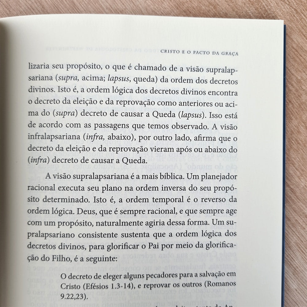 Cristo o Mediador | W Gary Crampton