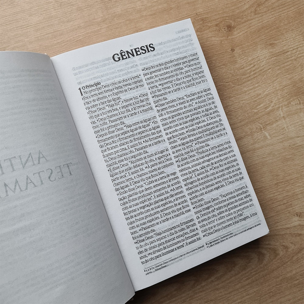 Bíblia Sagrada Floral Rosê | NVI | Letra Grande | Capa Dura