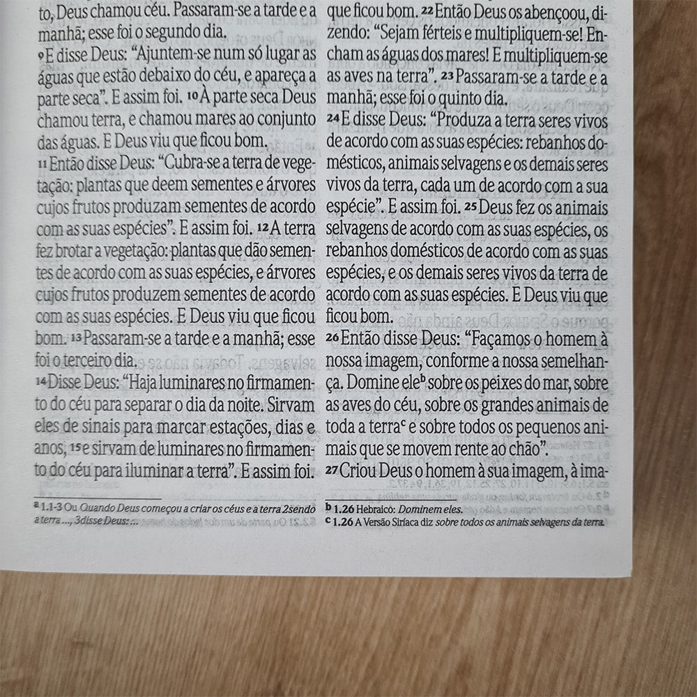 Bíblia Sagrada Floral Rosê | NVI | Letra Grande | Capa Dura