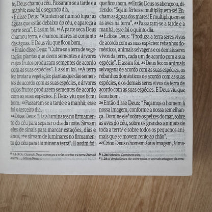 Bíblia Sagrada Floral Rosê | NVI | Letra Grande | Capa Dura