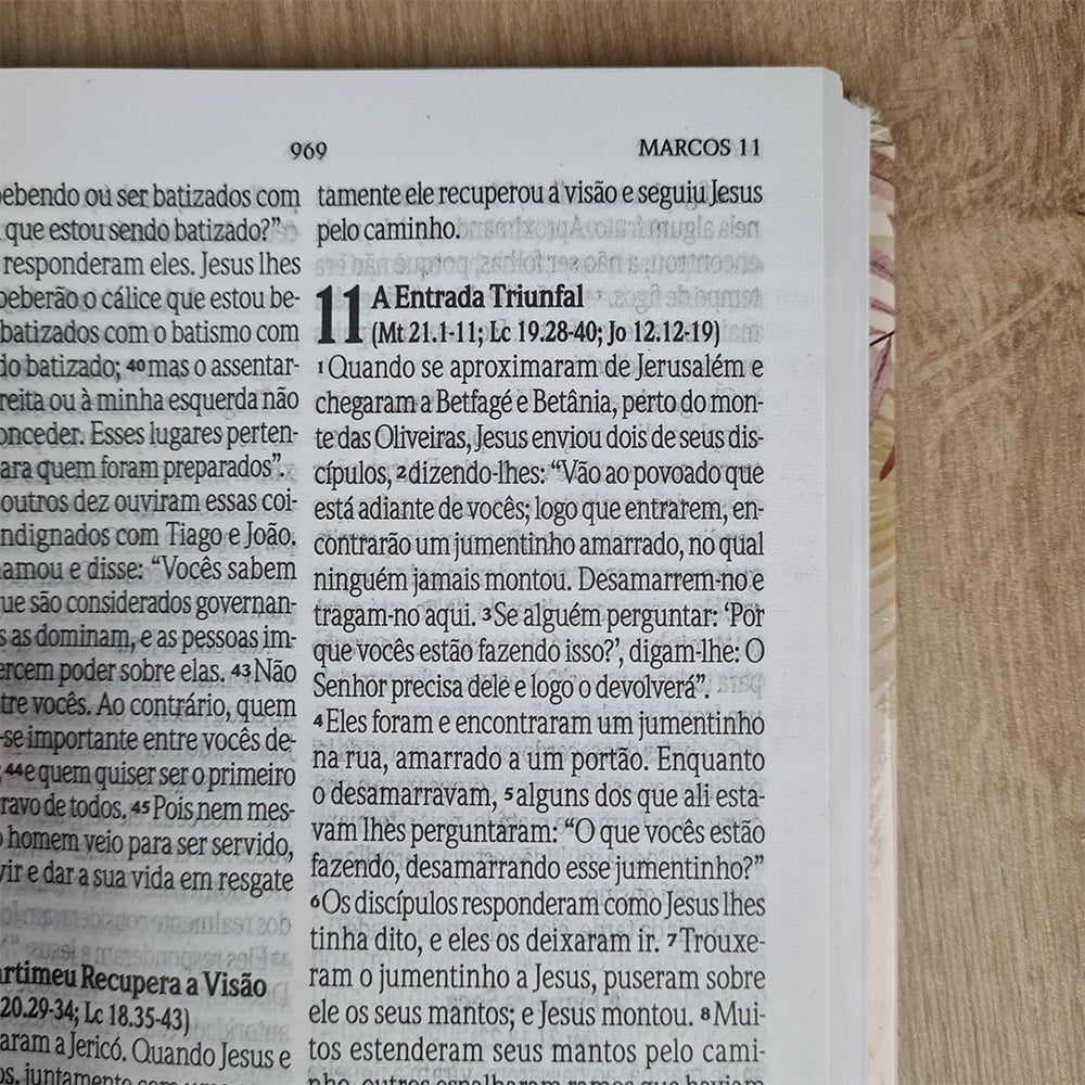 Bíblia Sagrada Floral Rosê | NVI | Letra Grande | Capa Dura