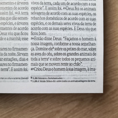 Bíblia Sagrada Leão Forte | NVI | Letra Grande | Capa Dura