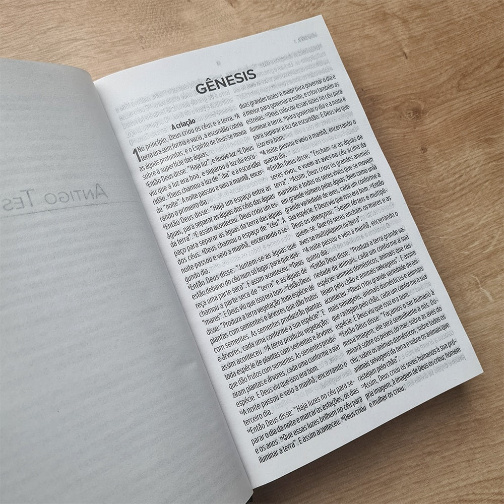 Bíblia Sagrada Buquê | NVT | Letra Grande | Capa Dura
