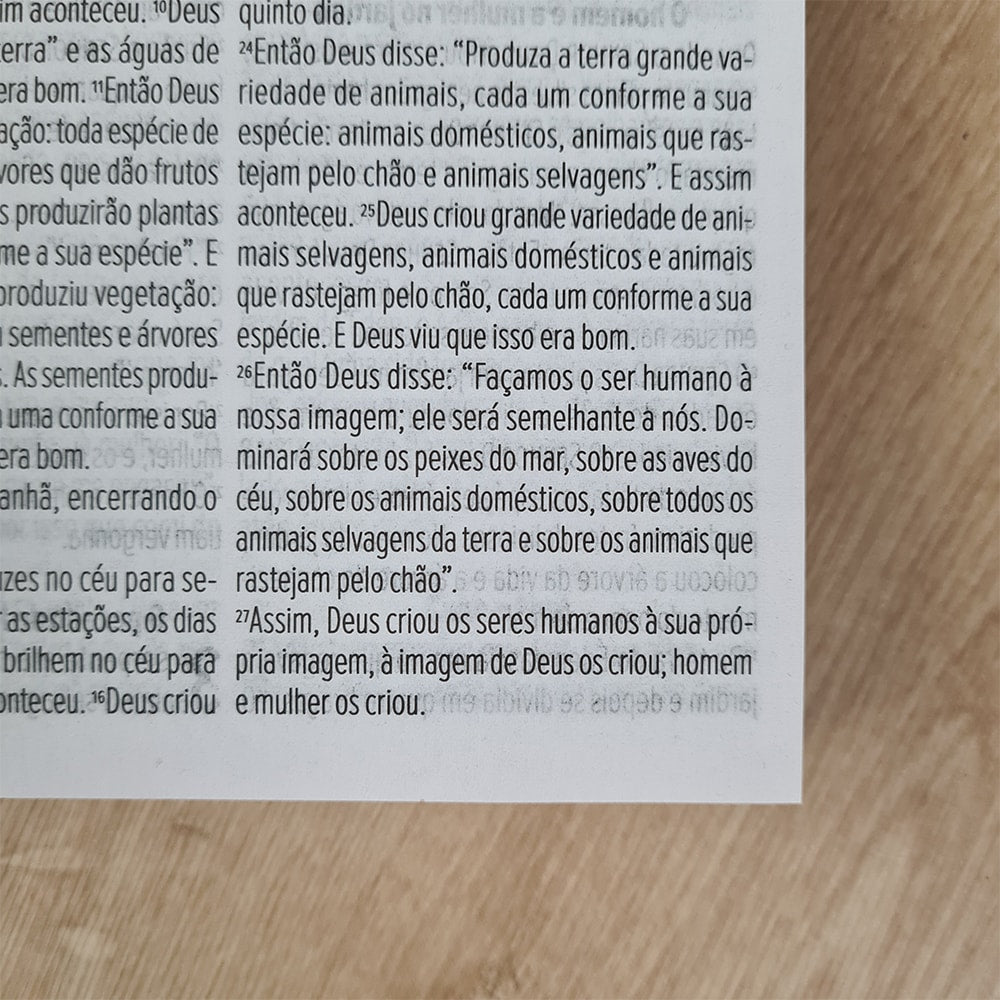 Bíblia Sagrada Salvos pela Graça Azul | NVT | Letra Grande | Capa Dura