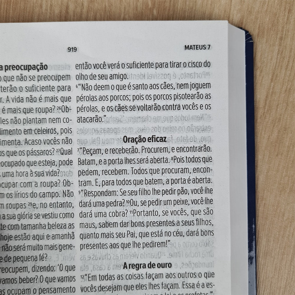 Bíblia Sagrada Salvos pela Graça Azul | NVT | Letra Grande | Capa Dura