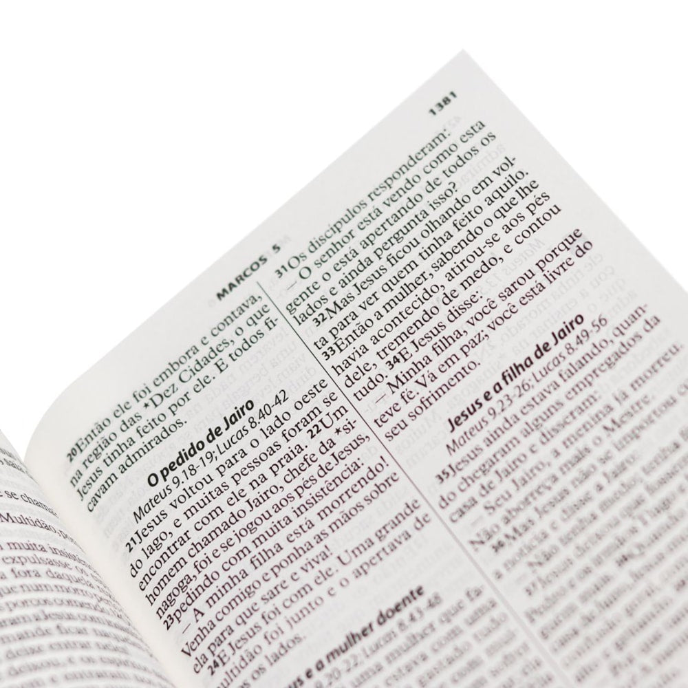 Bíblia Sagrada | Letra Gigante | NTLH | Capa Brochura Hebreus
