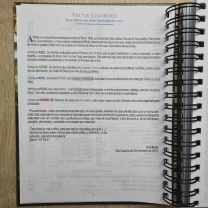 Bíblia Sagrada KJA 1611 | Letra Normal | Capa Dura Verde com Preto