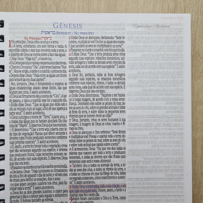 Bíblia Sagrada KJA 1611 | Letra Normal | Capa Dura Verde com Preto