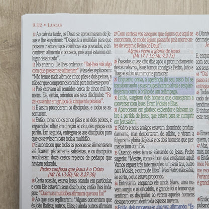 Bíblia Sagrada KJA 1611 | Letra Normal | Capa Dura Espiral Cruz