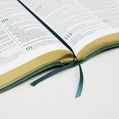 Bíblia Bilíngue | Português e Inglês | ACF | KJV | Leitura Perfeita | Couro Soft Verde