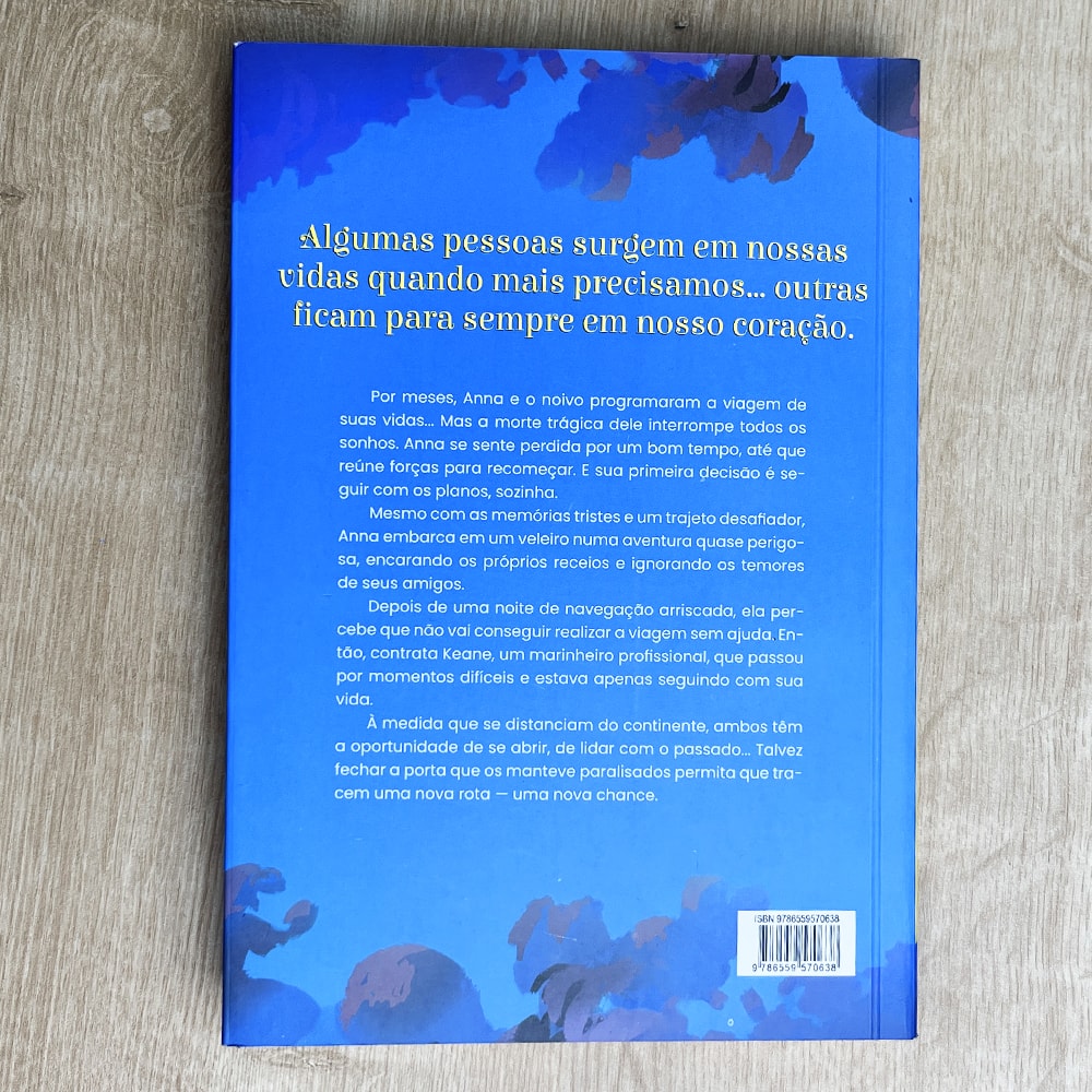 Partidas e Chegadas | Trish Doller