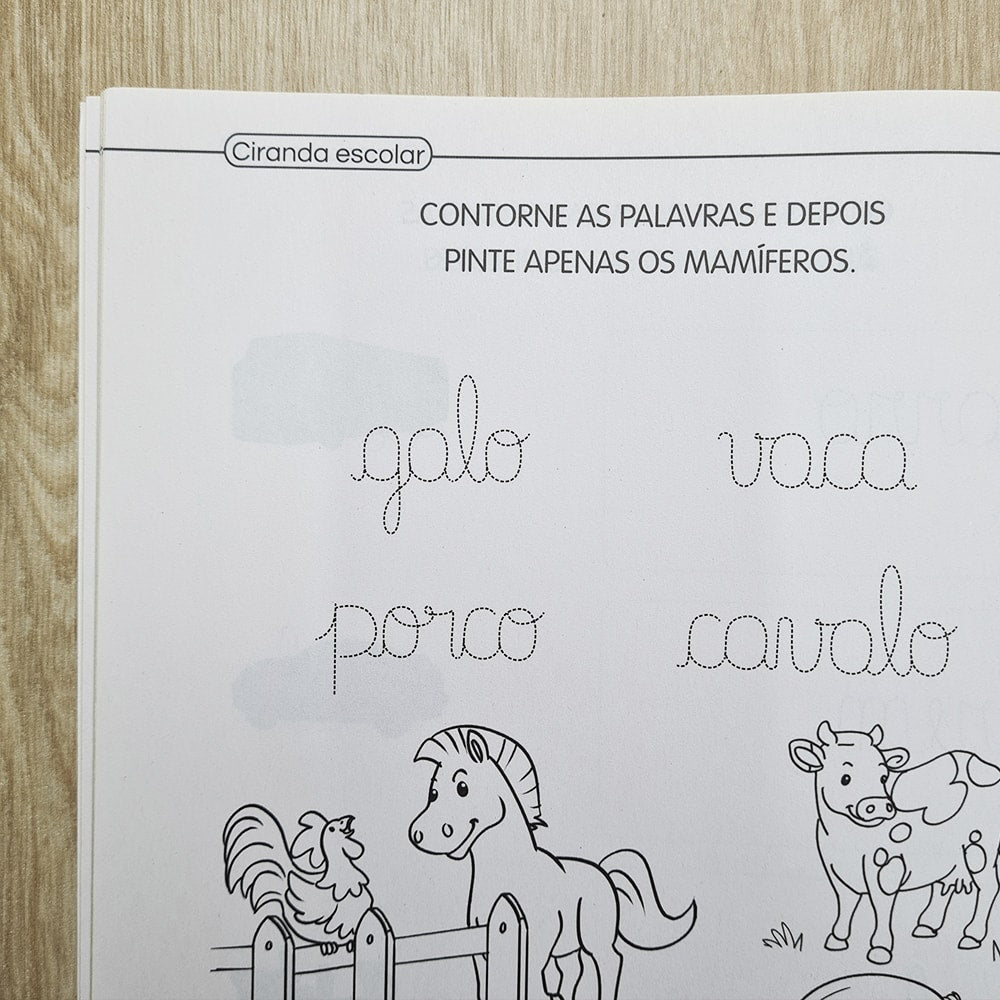 Ciranda Escolar | Palavras | Caligrafia