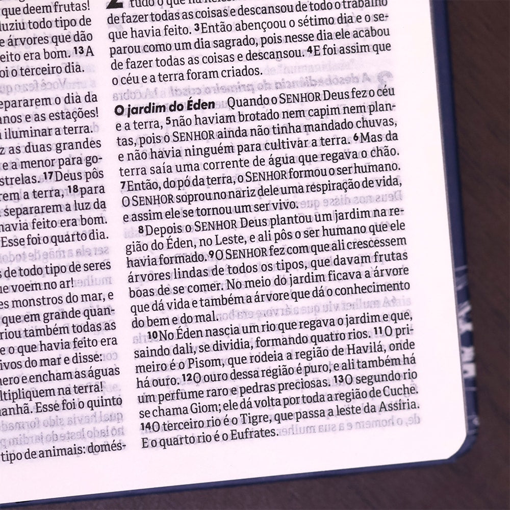 Bíblia Sagrada Farol | NTLH | Letra Normal | Capa Dura Ilustrada