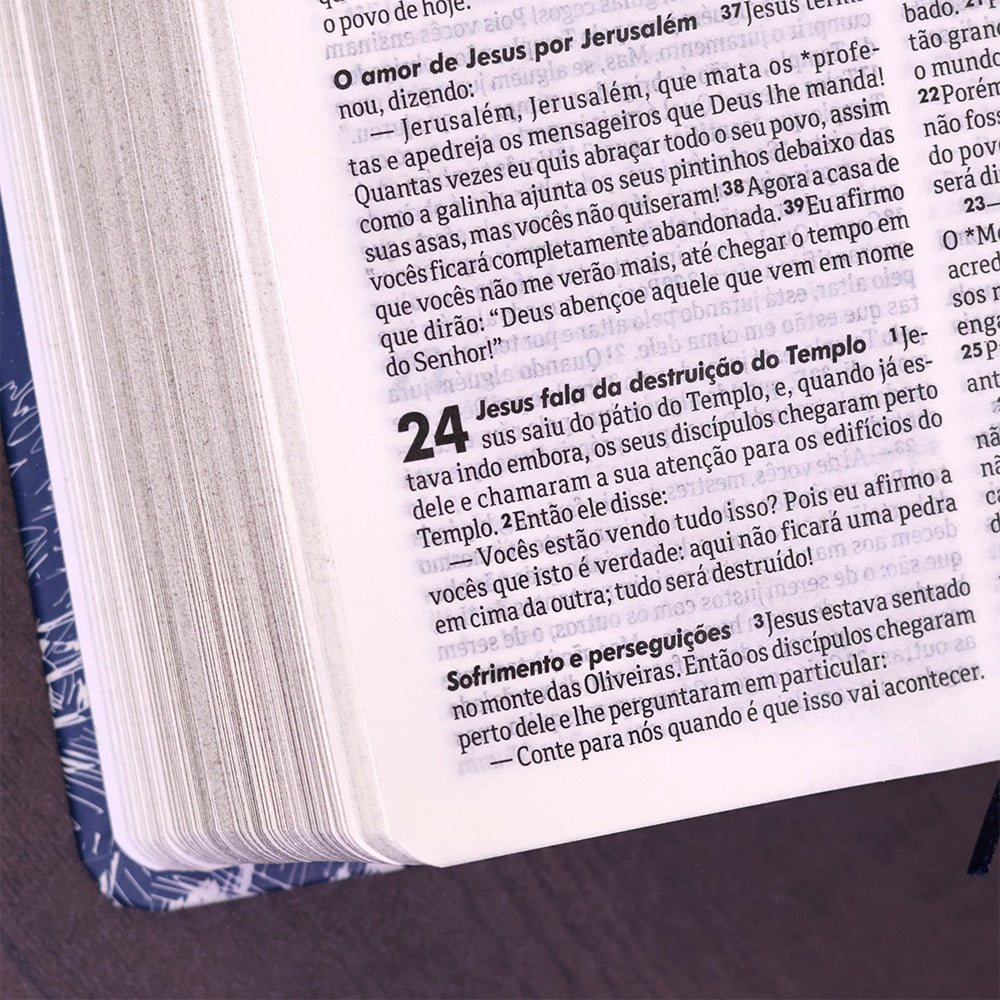 Bíblia Sagrada Farol | NTLH | Letra Normal | Capa Dura Ilustrada