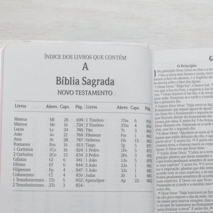 Bíblia Sagrada Leão de Judá | NVI | Letra Maior | Capa Dura Ilustrada