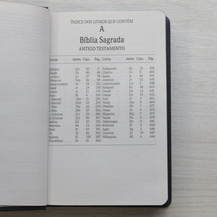 Bíblia Sagrada Vão Pelo Mundo | NVI | Letra Maior | Capa Dura Ilustrada