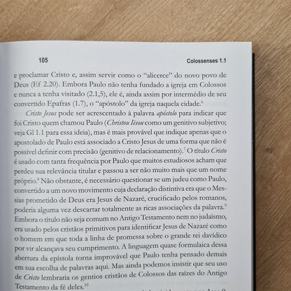 O Comentário de Colossenses e Filemom | Douglas J Moo