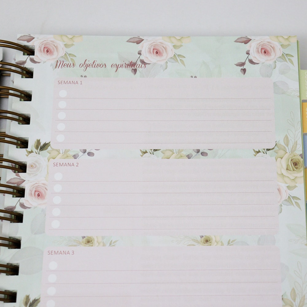 Planner Meu Plano com Deus | Coração Puro | Capa Dura Espiral