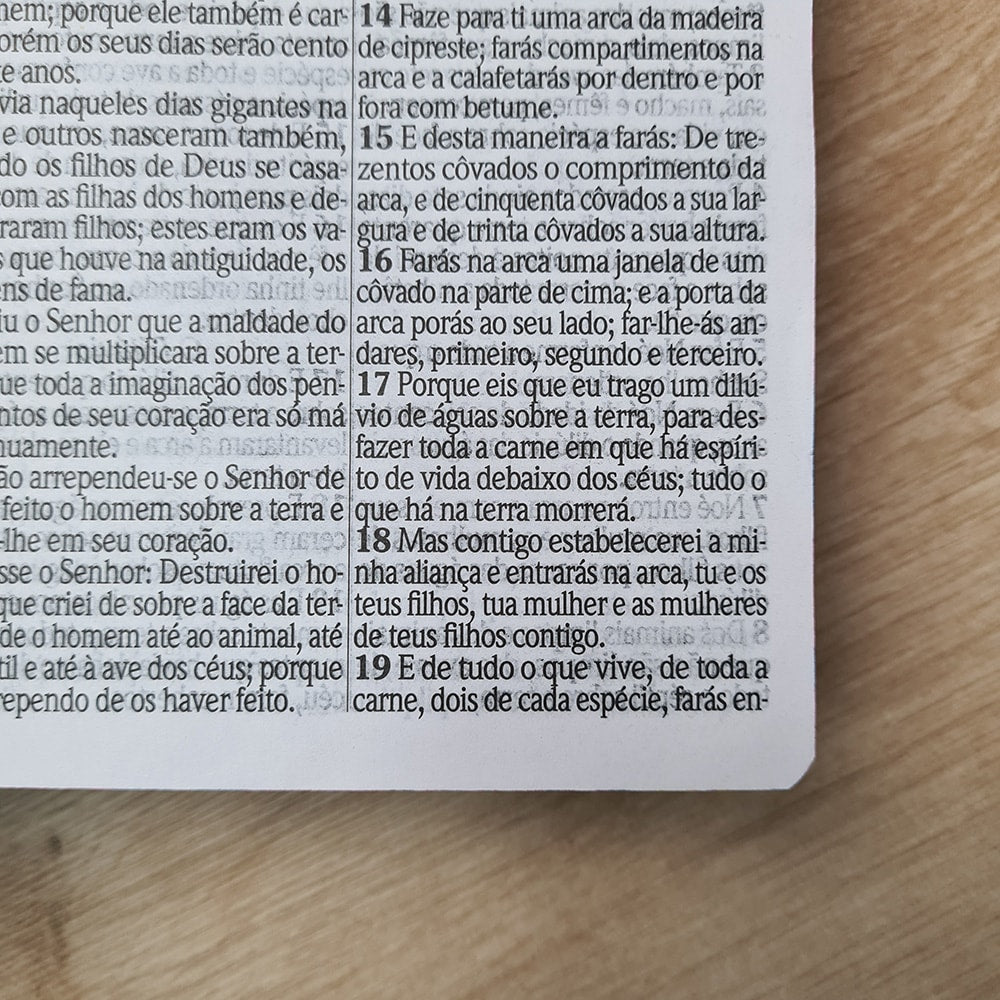 Bíblia Sagrada com Harpa Avivada e Corinhos | Letra Hipergigante | ARC | Semi-flexível Floral Noturna