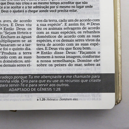 Bíblia De Estudo Joyce Meyer | NVI | Letra Grande | Capa Luxo Dourada