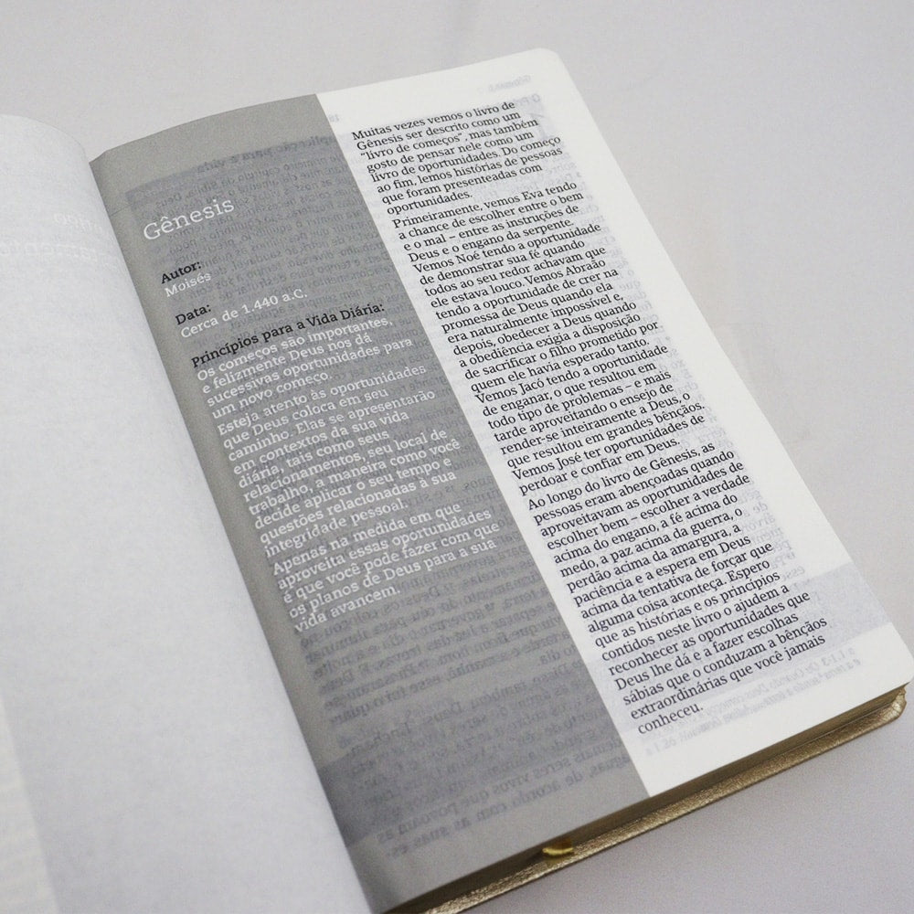 Bíblia De Estudo Joyce Meyer | NVI | Letra Grande | Capa Luxo Dourada