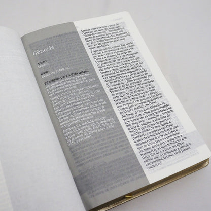 Bíblia De Estudo Joyce Meyer | NVI | Letra Grande | Capa Luxo Dourada