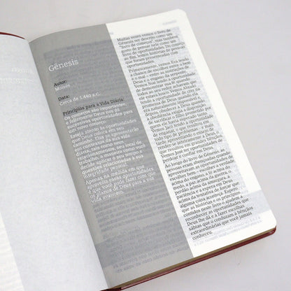 Bíblia De Estudo Joyce Meyer | NVI | Letra Grande | Capa Luxo Vermelha