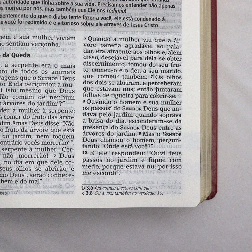 Bíblia De Estudo Joyce Meyer | NVI | Letra Grande | Capa Luxo Vermelha