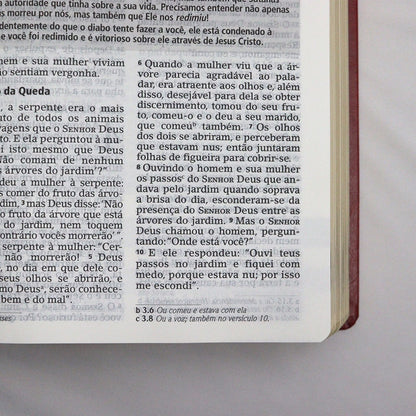Bíblia De Estudo Joyce Meyer | NVI | Letra Grande | Capa Luxo Vermelha