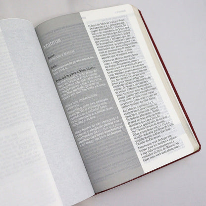 Bíblia De Estudo Joyce Meyer | NVI | Letra Grande | Capa Luxo Vermelha