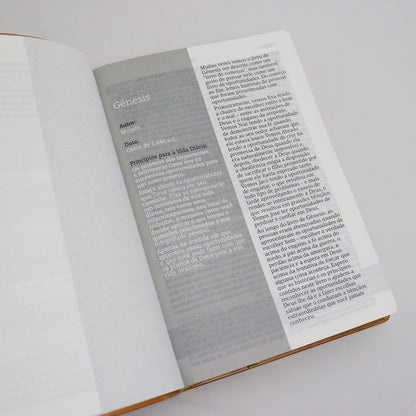Bíblia De Estudo Joyce Meyer | NVI | Letra Grande | Capa Luxo Mostarda