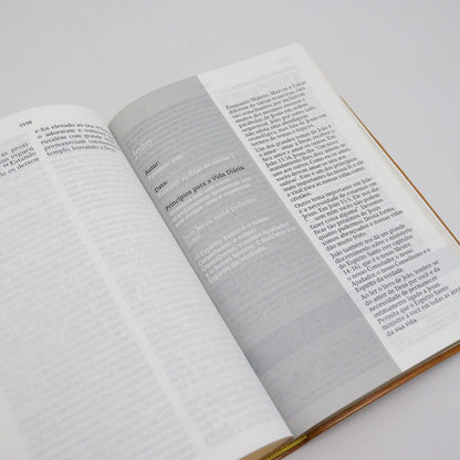 Bíblia De Estudo Joyce Meyer | NVI | Letra Grande | Capa Luxo Mostarda