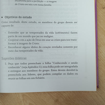 15 Lições para Fortalecer sua Família | David e Carol S Merkh Ralph e Ruth Reamer