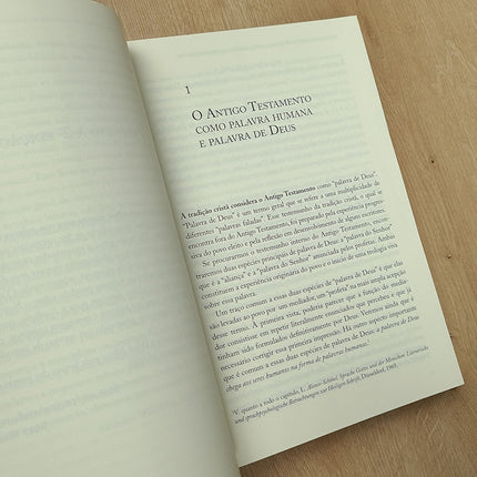 O Antigo Testamento | Josef Schreiner